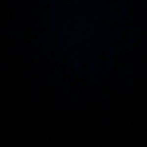 Meet your Posher, Gwendolyn